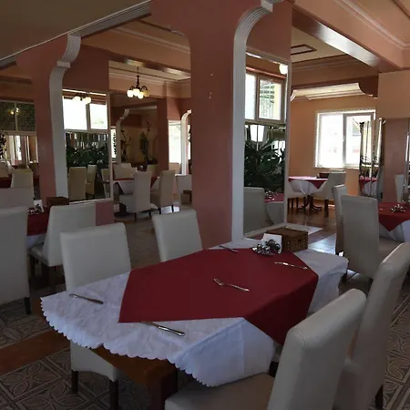 Hotel Sifa Hayatsuyu Termal