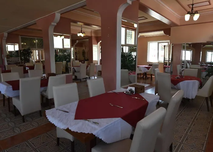 Hotel Sifa Hayatsuyu Termal